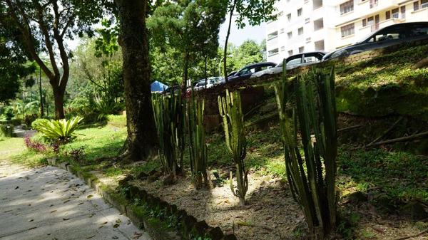 马来亚大学传媒研究研究本科专业就业前景