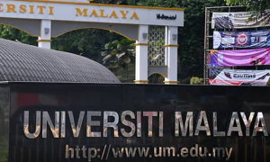 马来西亚马来亚大学毕业去向